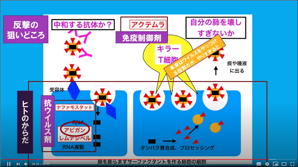 児玉龍彦東大名誉教授によるWithout Corona対策の一貫としての抗ウイルス薬